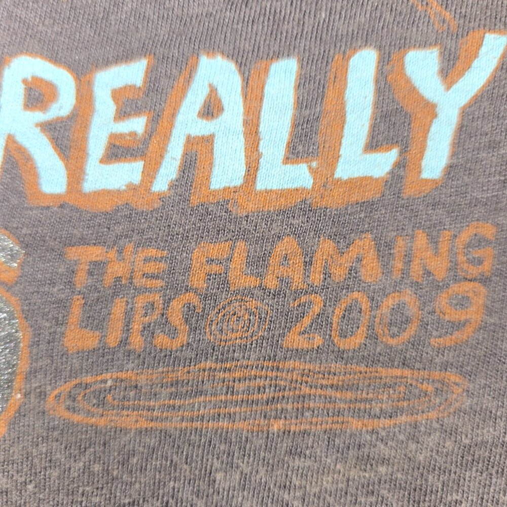 Deconstructed Flaming Lips Powerless 2009 Concert… - image 6